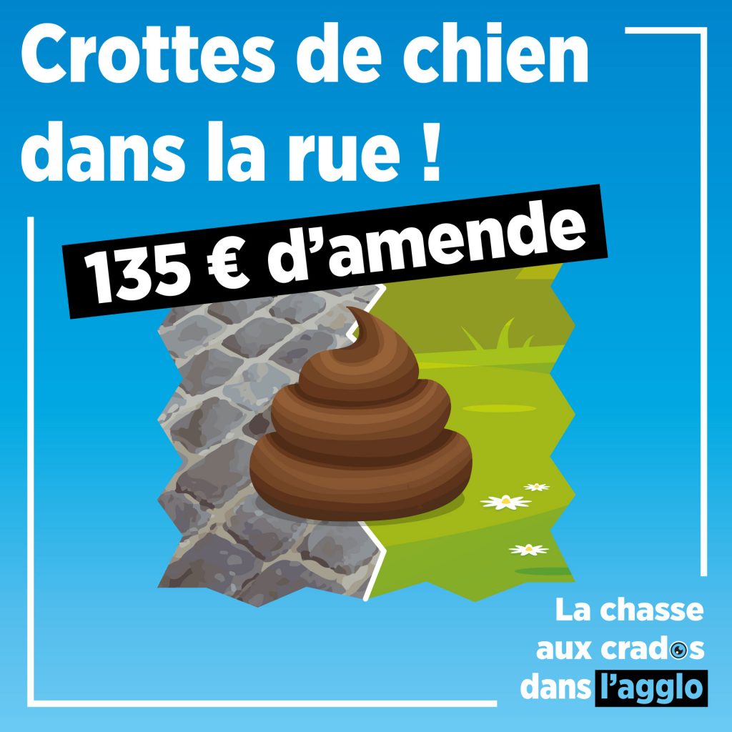 Campagne-Propreté-AGGLO_Déjections-canines_Réseaux-Sociaux-1024x1024