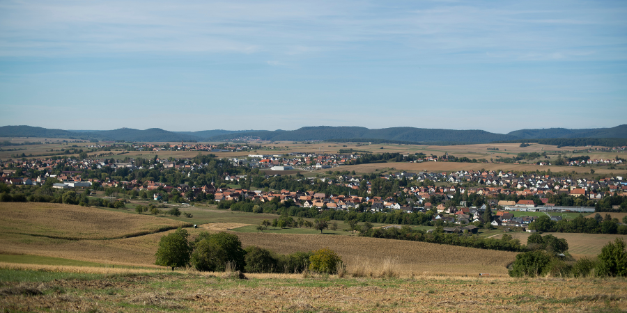 dauendorf1