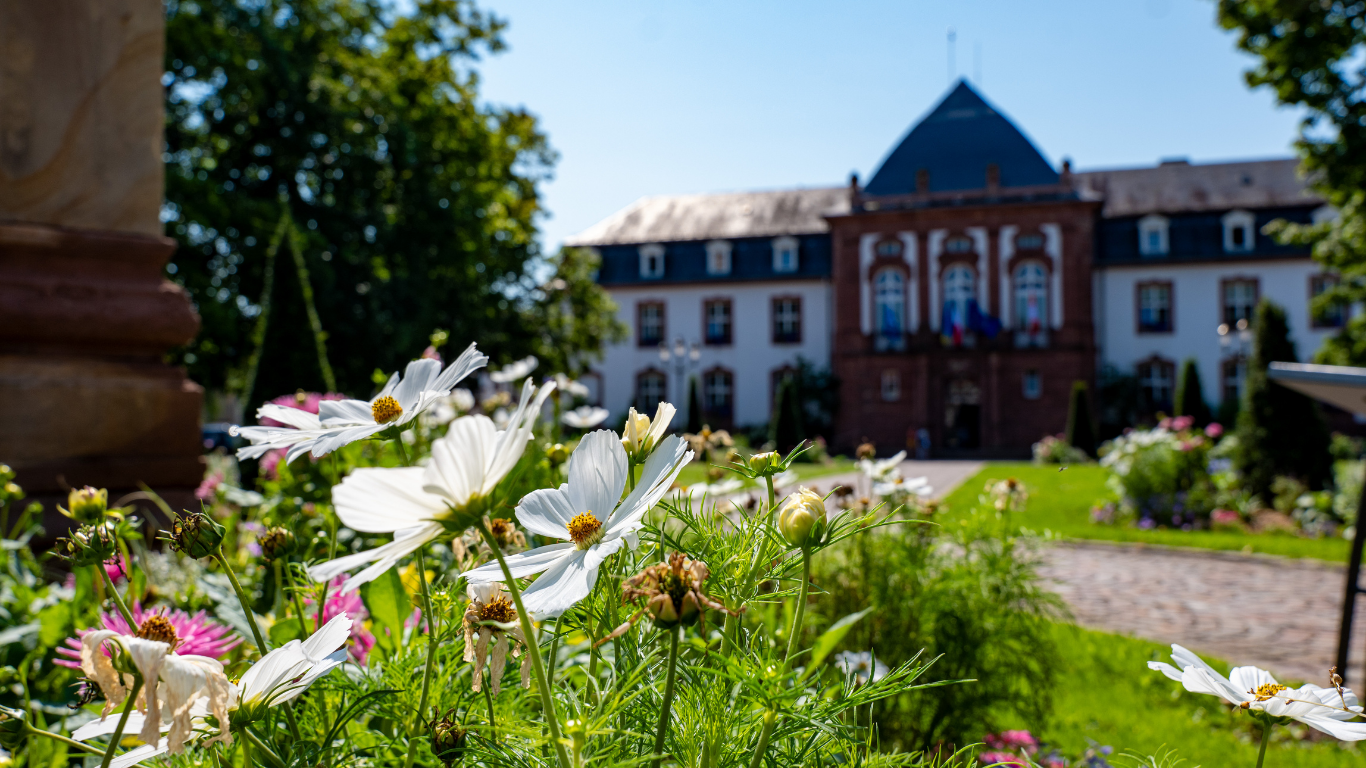 haguenau (1)